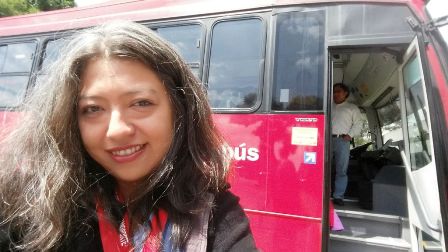 Necesarias políticas públicas para uso de tecnologías alternativas en transporte público