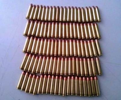 Violación a la Ley Federal de Armas y contra la salud