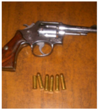 Aseguran madera y arma de fuego sin las licencias correspondientes, en Oaxaca