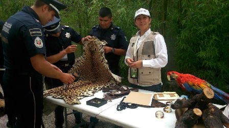 Culminan policías federales curso de delitos contra el ambiente