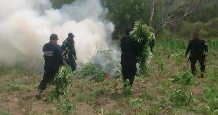 Superficie aproximada de 13 mil 500 metros cuadrados