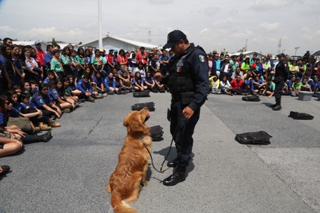 Impulsan Policía Federal y la Asociación de Scouts de México la prevención de delitos