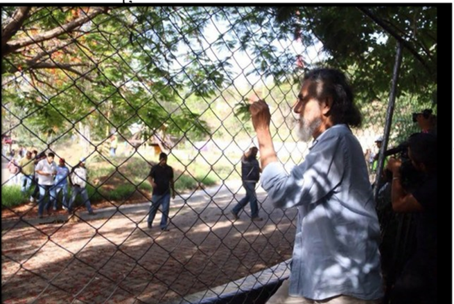 Gobierno y municipio de Oaxaca inducen segunda agresión a Francisco Toledo ante protesta