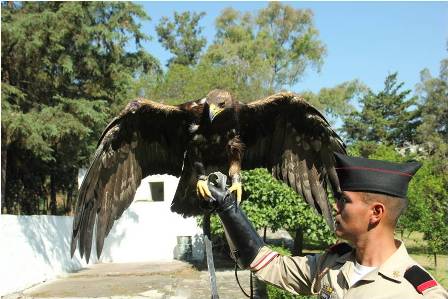 Desfilarán águilas mexicanas en la festividad más importante de Francia