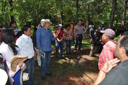 Reinician programa de apoyo a madres solteras y adultos mayores en Oaxaca de Juárez