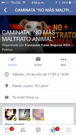 Invitan a la caminata “No más maltrato animal”, en Oaxaca