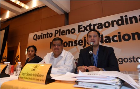 Aprueba Consejo Nacional propuestas para fortalecer al PRD