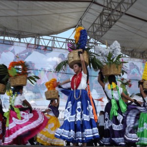 Recorte presupuestal no debe afectar la educación pública: Aleida Alavez
