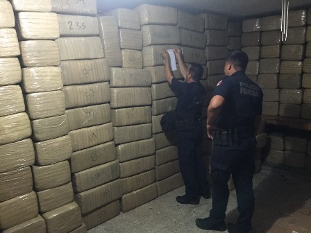 Asegura Policía Federal más de siete toneladas de marihuana en Sinaloa; Dos detenidos