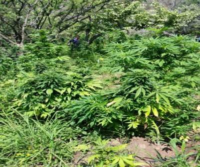 Ninguna persona fue detenida