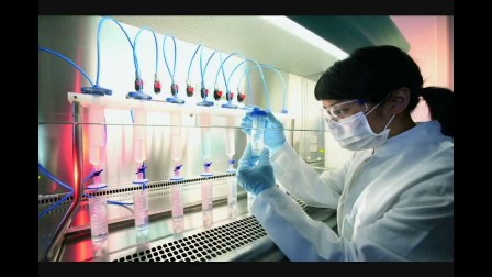 Impulso LXII Legislatura presupuesto histórico en ciencia y tecnología: Tello Cristerna