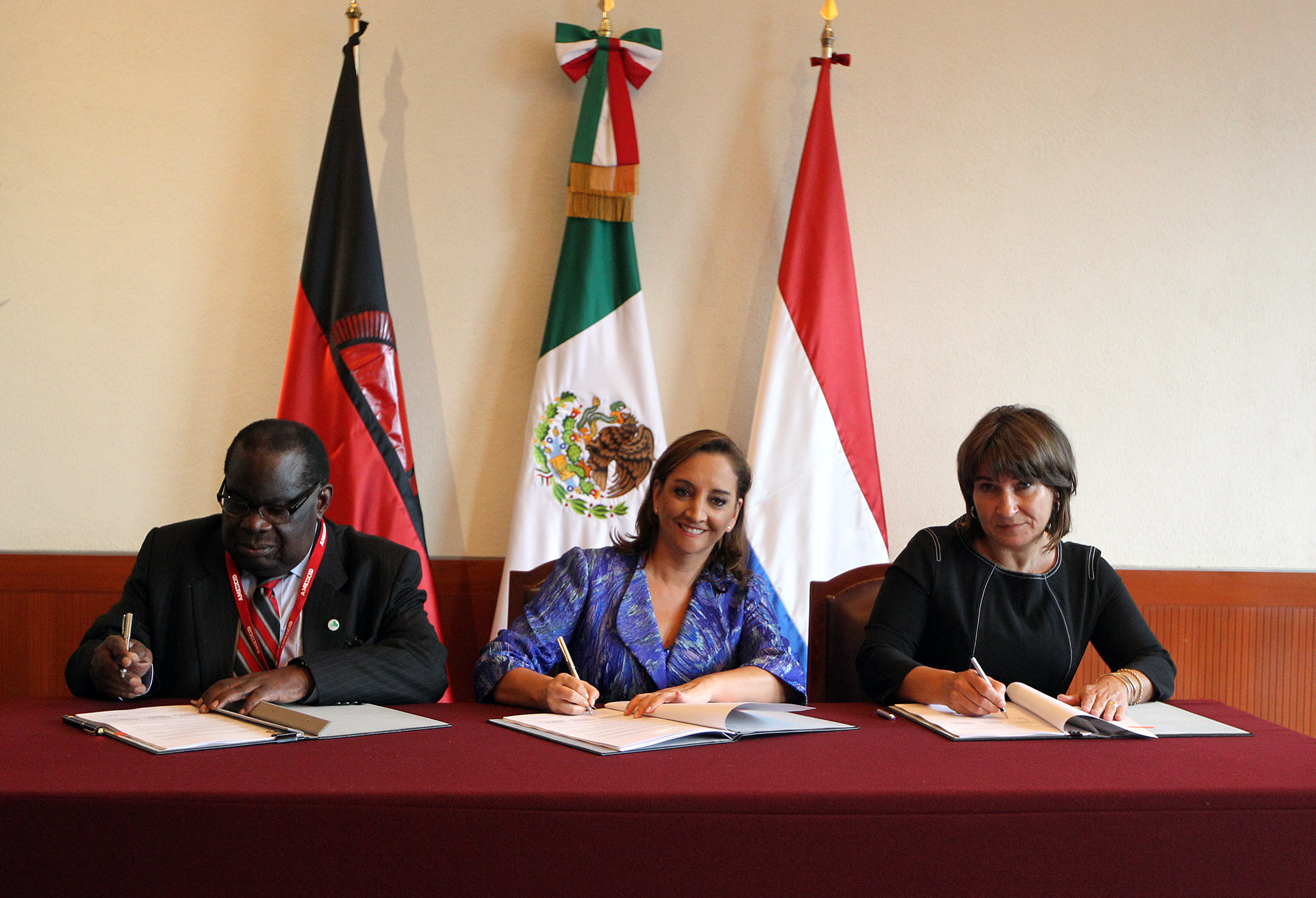 Se realizó en México Séptima reunión de la Alianza Global de Cooperación Eficaz al Desarrollo