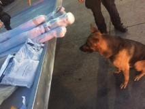 El hecho en la terminal aérea de Guadalajara, Jalisco