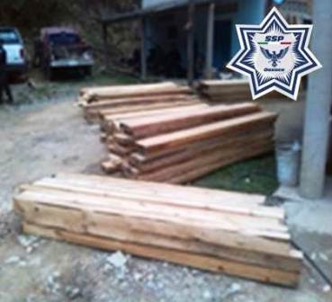 Detenido por transportar más de 100 piezas de madera de pino sin permiso, en la Costa de Oaxaca