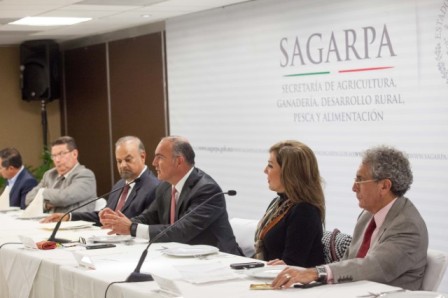 En el comercio mundial ya tratamos con EU y Canadá