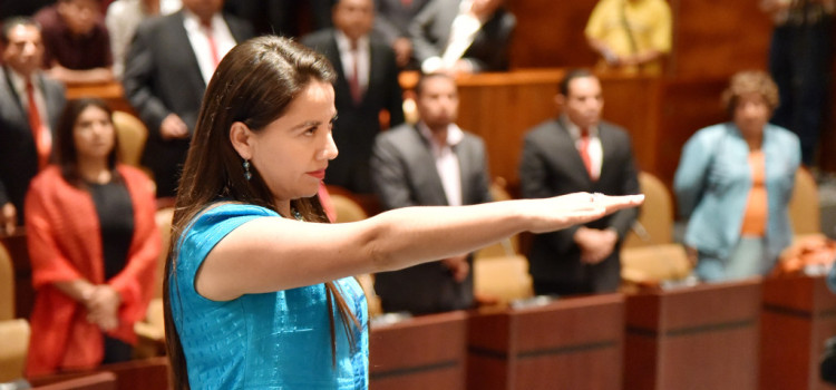 Auditorias para transparentar manejo de dinero en la Cámara de Diputados
