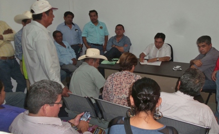 Destina SAGARPA dos mdp para combate del pulgón amarillo en Oaxaca