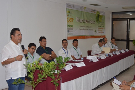 Produce Oaxaca 252 mil toneladas de cítricos: SAGARPA