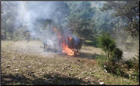 Municipio de Monjas, Distrito de Miahuatlán