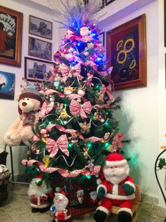 Exhorta IMSS a disfrutar las festividades navideñas y de fin de año con responsabilidad