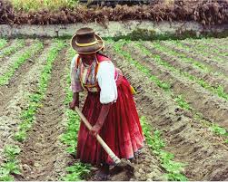 Demanda Senado realizar censo sobre situación de mujeres y niñas jornaleras