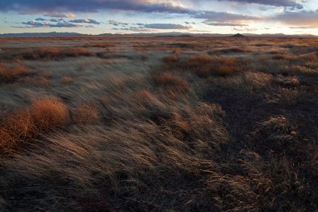 El FINI da oportunidad a artistas que hacen fotografía diferente a la típica mexicana