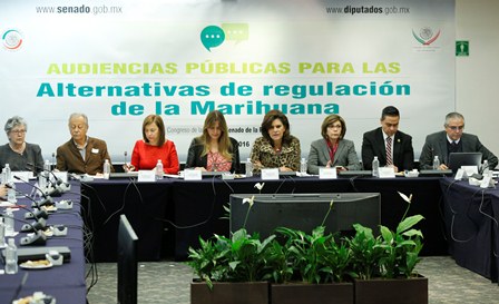 Prohibir consumo de marihuana ha fracasado, el Estado lo debe regular, señalan expertos