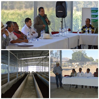 En el Trapiche, Oaxaca, producen lombrices para alimentar al campo y generar empleos