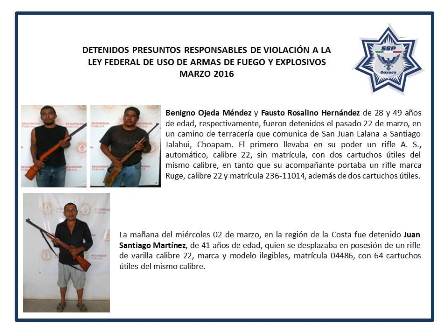 Aseguran 33 armas de fuego durante el mes de marzo en Oaxaca: SSPO