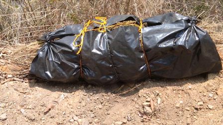 Elementos de seguridad pública aseguran siete kilos de marihuana en Miahuatlán, Oaxaca