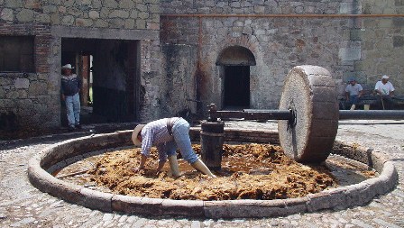 Solicita Senado proteger a pequeños productores de mezcal del país