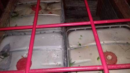 Localizan más de tres mil litros de hidrocarburo en camioneta abandonada en el Istmo de Tehuantepec