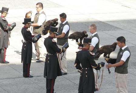 Fortalecen Sedena, Semarnat Y Profepa acciones para la conservación del águila real