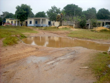 Descacharrización la mejor manera de prevenir el virus del dengue: IMSS