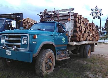 Aseguran tres camiones cargados de madera en operativo conjunto con la Profepa en Oaxaca