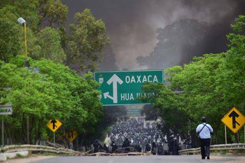 En Oaxaca se vive la Ley de la Selva: López Lena