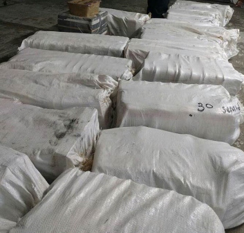 Aseguran cerca de una tonelada de cocaína, en Salina Cruz, Oaxaca