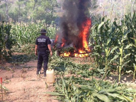 En San Pedro Totolapan