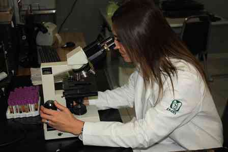 Día Internacional del Químico