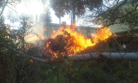 Participaron bomberos