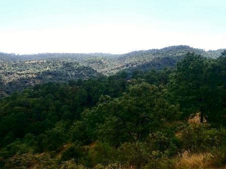 Asaltantes roban 265 mil pesos a autoridades de San Agustín Atenango, Oaxaca