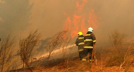 Otorga México apoyo a Chile para enfrentar incendios forestales