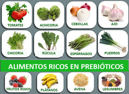 Consumir con regularidad suplementos alimenticios puede prevenir enfermedades