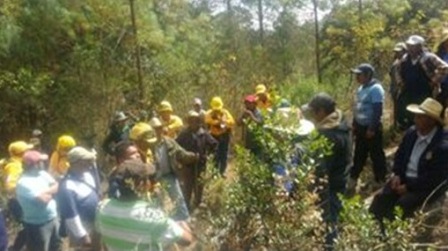 Consume incendio 50 hectáreas de pastizal, arbusto y árboles de pino en Tlaxiaco, Oaxaca