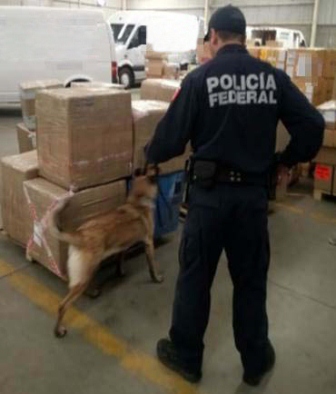 Decomisan más de 450 mil cigarrillos de procedencia extranjera en Guanajuato