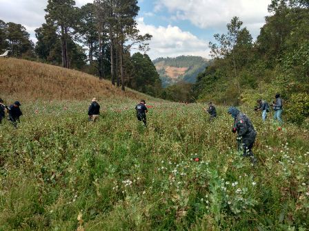 En Santiago Textitlán, Sola de Vega