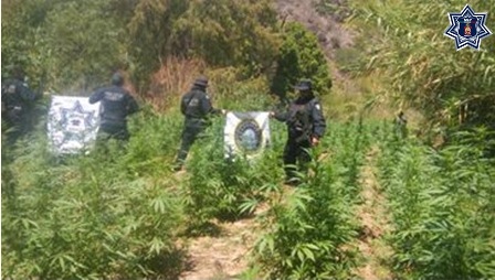 En Santa María Zooquitlán