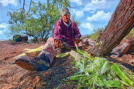 Suscribe Diconsa convenio para comercializar fibra de ixtle en apoyo a campesinos de Tamaulipas