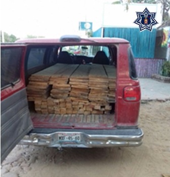 Detenido por transportar madera ilegalmente en San Pedro Mixtepec, Oaxaca