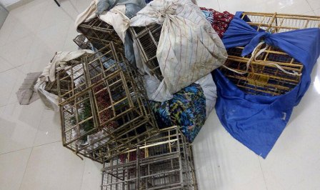 En carretera de San Luis Potosí, CNS-PF intercepta 140 especies protegidas